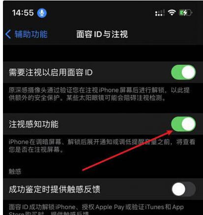 张店苹果14维修网点分享iPhone14注视感知功能有什么用 